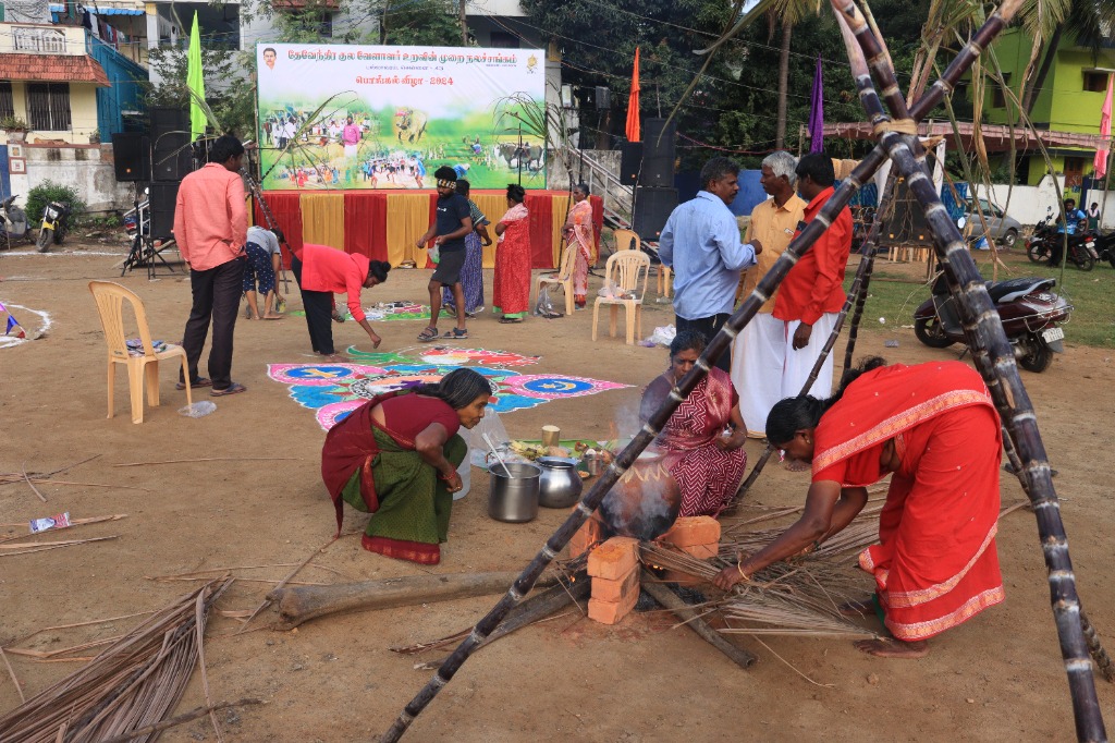 Pallavaram Pongal celebration